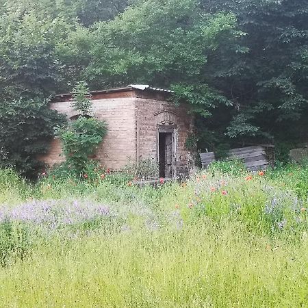 Gaestehaus Am Landgut Schonwalde-Glien Ngoại thất bức ảnh